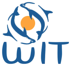 wit-logo-230
