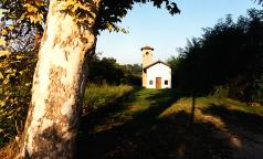 Bareggio_S.Maria alla Brughiera(GiovanniChiaramonte)