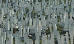 IL SUCCESSORE-still_1 IL SUCCESSORE-still_1