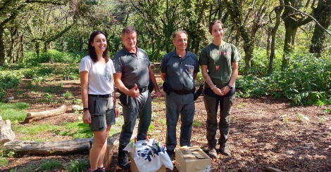 Falco lodolaio torna libero!