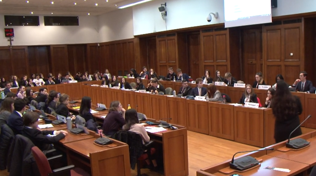 Simulazione Assemblea Generale dell'ONU