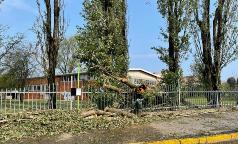 WhatsApp Image 2023-07-24 at 10.33.32 (2) WhatsApp Image 2023-07-24 at 10.33.32 (2)