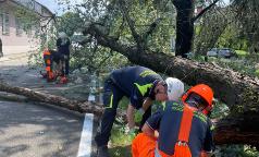 WhatsApp Image 2023-07-24 at 10.33.32 (4) WhatsApp Image 2023-07-24 at 10.33.32 (4)