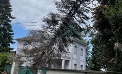 WhatsApp Image 2023-07-24 at 10.33.32 (7) WhatsApp Image 2023-07-24 at 10.33.32 (7)