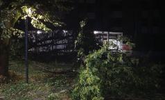 WhatsApp Image 2023-07-24 at 10.33.33 (11) WhatsApp Image 2023-07-24 at 10.33.33 (11)