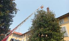 WhatsApp Image 2023-07-24 at 10.33.33 (13) WhatsApp Image 2023-07-24 at 10.33.33 (13)