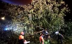 WhatsApp Image 2023-07-24 at 10.33.33 (4) WhatsApp Image 2023-07-24 at 10.33.33 (4)