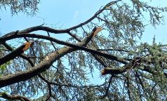 WhatsApp Image 2023-07-24 at 10.33.34 (2) WhatsApp Image 2023-07-24 at 10.33.34 (2)