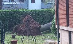 WhatsApp Image 2023-07-24 at 10.33.34 WhatsApp Image 2023-07-24 at 10.33.34