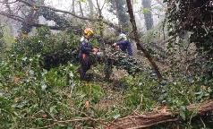 foto_esercitazione (2) foto_esercitazione (2)